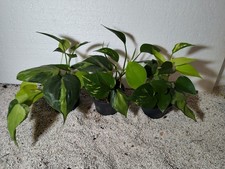 @ (◕‿◕)\@ Verschiedene