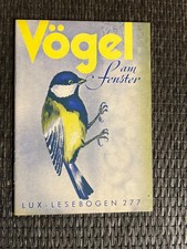 Vögel am Fenster - Lux