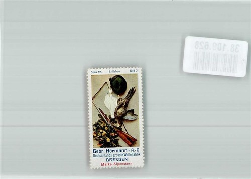38109628 8000 dresden gebr - 8000,