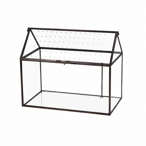 Glas terrarium mit - glas-terrarium,