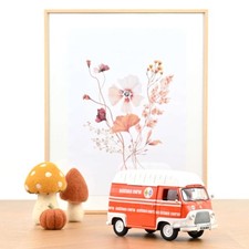 Renault Estafette 1968 Orange