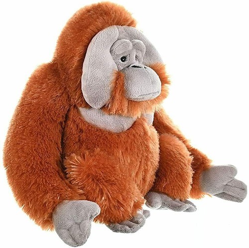 Orang utan wild republic - -,