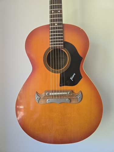 Framus 194 gaucho - 5/194,