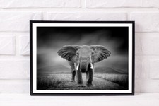 ELEFANT SAFARI DRUCK POSTER