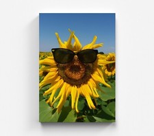 Blumen Wandbild Sonnenschein