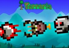 Terraria großes konvolut - großes,