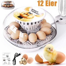 Inkubator Brutkasten