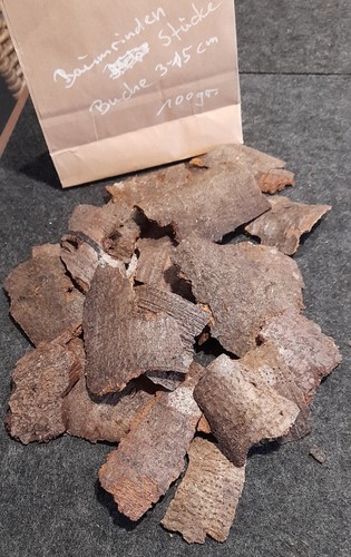 Echte baumrinde von - baumrinde, buche