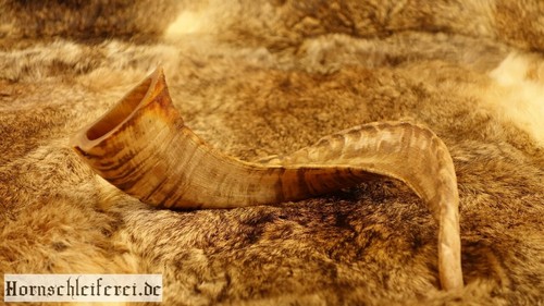 Trinkhorn schaf 60 120 - schaf,,