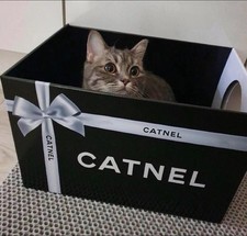 CATNEL Katzenbett Kratzmatte Spielplatz Bett Katze Kiste Pappkarton schwarz