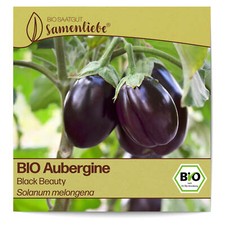 BIO Auberginen Samen Sorte