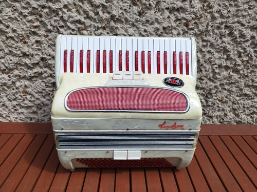 Akkordeon hagsrtröm 120 bass - akkordeon,
