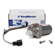 BORGWARNER Haldex Vorladepumpe für AUDI A3 8V SEAT VW PASSAT  hinten 0CQ598549