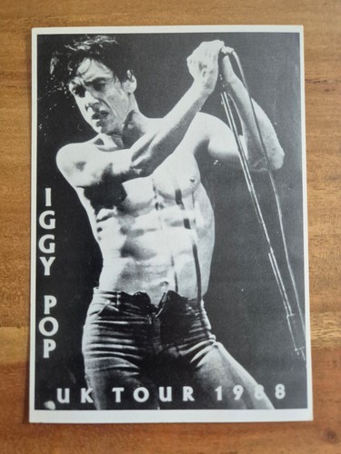 Alte postkarte iggy pop - /,