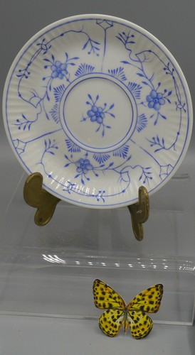 August warnecke friesisch - aw,