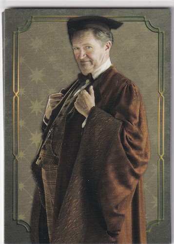 Panini harry potter - panini,