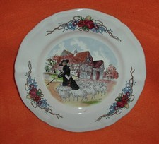 Elsaß Schäfer Schafherde