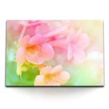 120x80cm Wandbild auf Leinwand