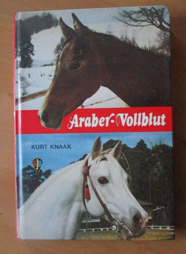 Araber vollblut kurt - vollblut,,