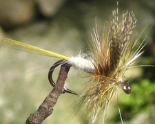 Gilchrist Fliegen. 3 x