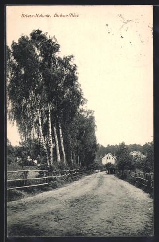 Ansichtskarte briese kolonie - ansichtskarte, briese,