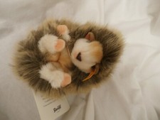 Steiff Joggi hedgehog   igel