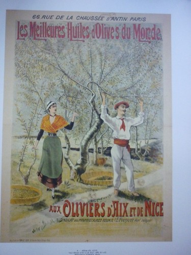 Olivenöl die öle unserer - die,