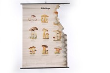 alte Tafel Lehrtafel Schule