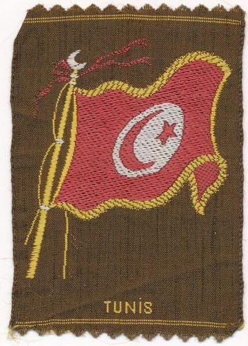Fahne von tunesien - fahne,