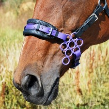 Lila Blume Hackamore gebisslose Trense Nasenriemen Paket (Medium/Cob) [Made in UK]