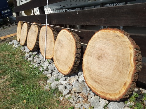 Holzscheibe eiche cm - eiche,