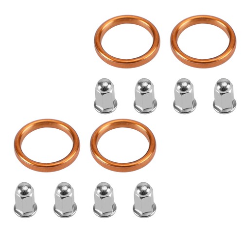 Auspuff krümmer dichtung - dichtung, set