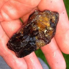 Bernstein Rohbernstein 23