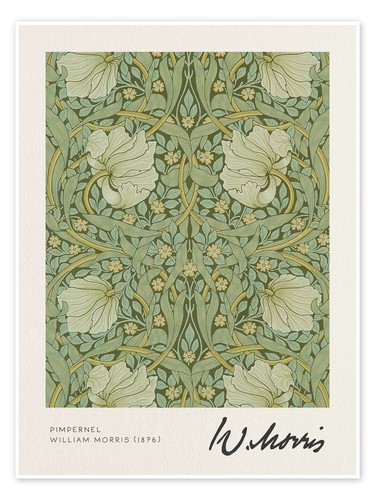 Poster pimpernel william - pimpernel,