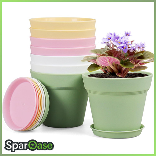 Blumentopf set 10cm mit - blumentopf,