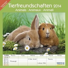 Tierfreundschaften
