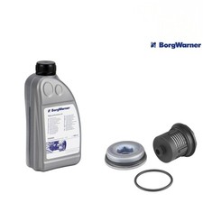 BorgWarner Haldex Kupplung
