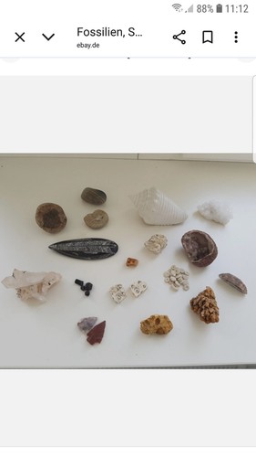 Fossilien mineralien - fossilien,,