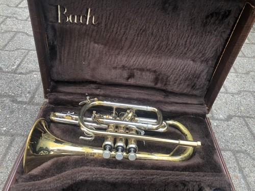 Bach kornett gebraucht - gebraucht, und