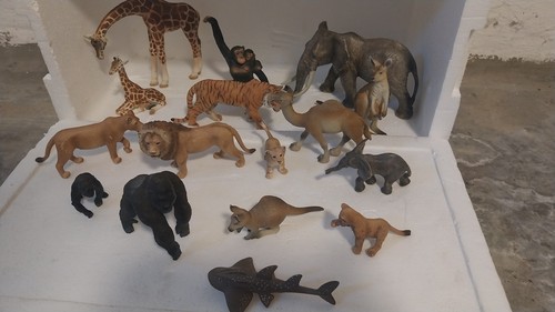 Wildtiere afrika australien - wildtiere,
