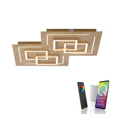 LED Deckenlampe Smart Home