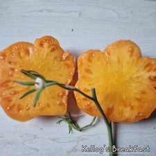 Tomate Kelloggs Breakfast 10