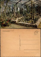 Ansichtskarte Frankfurt am Main Das neue Kakteenhaus Palmengarten 1978