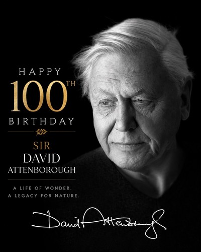 Sir david attenborough 100 - sir,