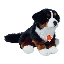 Teddy Hermann Berner