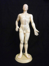 chinesisches, männliches Akupunktur Modell, Figur, Puppe, Kunststoff , alt