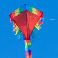 CIM Kinder-Drachen Maya Eddy