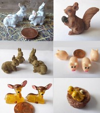 Zwerghase Eichkätzchen Hase