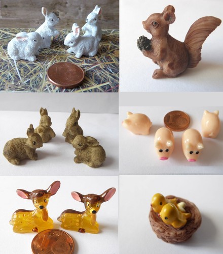 Zwerghase eichkätzchen hase - zwerghase,