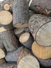 Brennholz Fichte/Kiefer Rollenholz optional mit Anlieferung